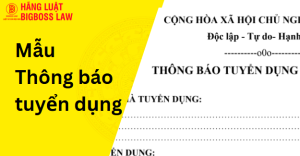 Thông báo tuyển dụng