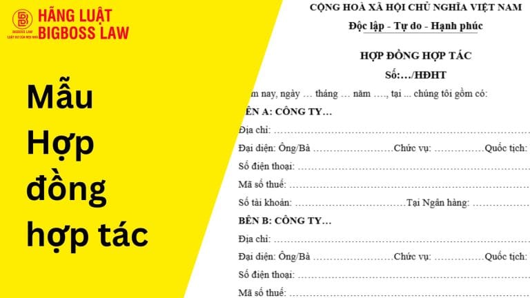 hop dong hop tac