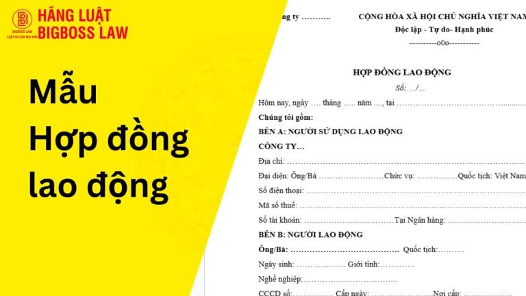 mau hop dong lao dong