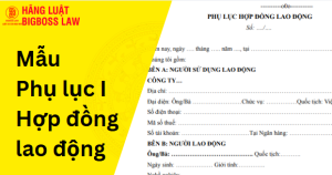 Phụ lục I Hợp đồng lao động