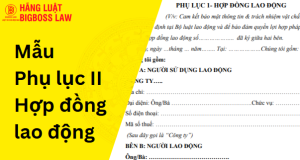 PHỤ LỤC 2 HỢP ĐỒNG LAO ĐỘNG VỀ CAM KẾT BẢO MẬT THÔNG TIN VÀ TRÁCH NHIỆM VẬT CHẤT