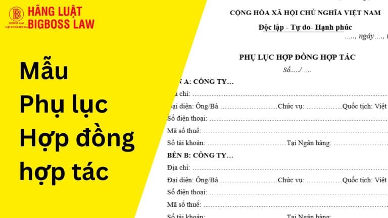 Mẫu phụ lục hợp đồng hợp tác 11 phu luc hop dong hop tac