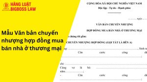 Văn bản chuyển nhượng hợp đồng mua bán nhà ở thương mại