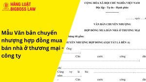 Văn bản chuyển nhượng hợp đồng mua bán nhà ở thương mại-công ty