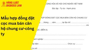 Hợp đồng đặt cọc mua căn hộ chung cư-công ty