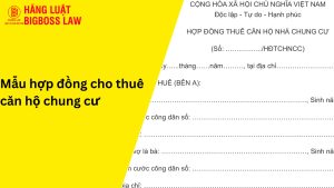 Hợp đồng cho thuê căn hộ chung cư