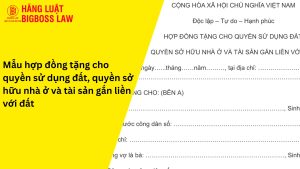 Hợp đồng tặng cho quyền sử dụng đất, quyền sở hữu nhà ở và tài sản khác gắn liền với đất