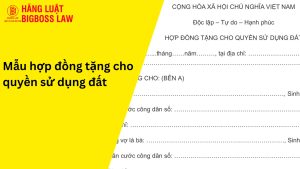 Hợp đồng tặng cho quyền sử dụng đất