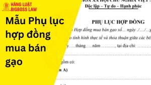 Phụ lục hợp đồng mua bán gạo