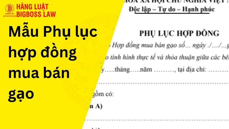 Phụ lục hợp đồng mua bán gạo