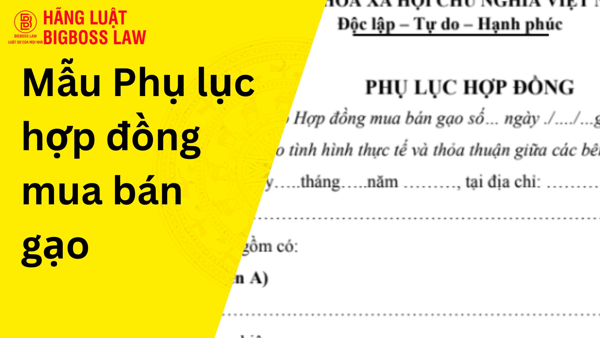 Phụ lục hợp đồng mua bán gạo