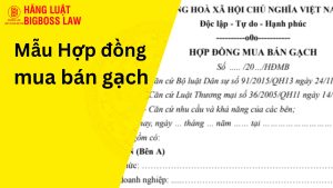 Hợp đồng mua bán gạch