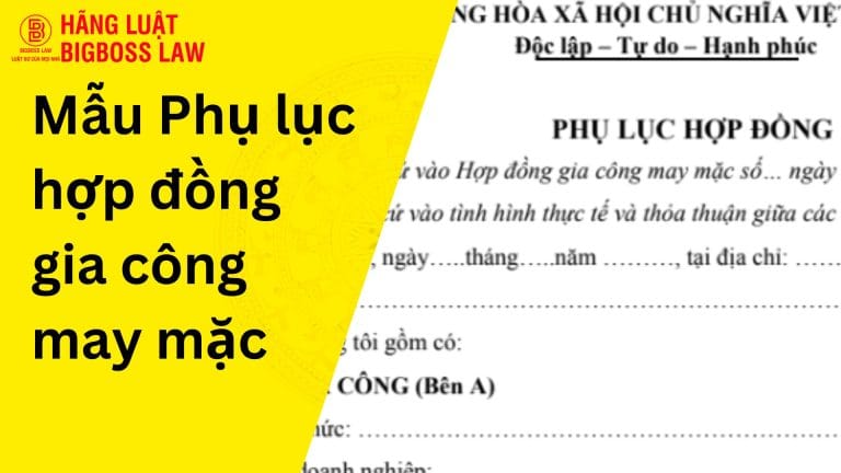 Phụ lục hợp đồng gia công may mặc
