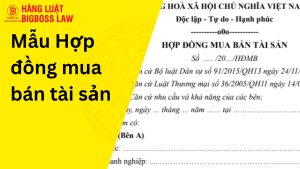 Hợp đồng mua bán tài sản