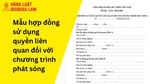 Mẫu hợp đồng sử dụng quyền liên quan đối với chương trình phát sóng