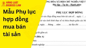 Phụ lục hợp đồng mua bán tài sản