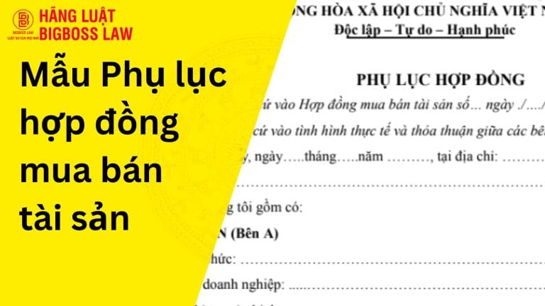 Phụ lục hợp đồng mua bán tài sản