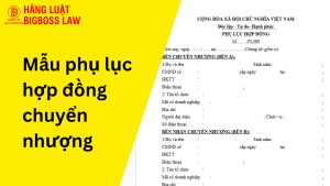 Mẫu phụ lục hợp đồng chuyển nhượng