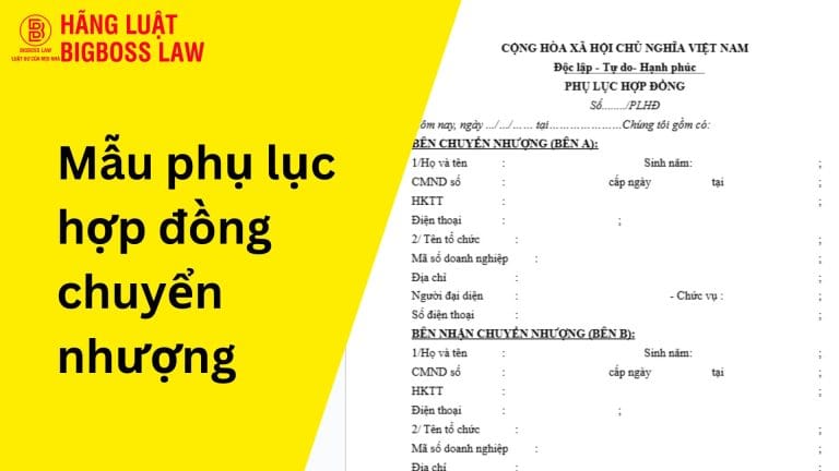 Mẫu phụ lục hợp đồng chuyển nhượng