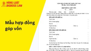 Mẫu hợp đồng góp vốn