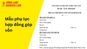 Mẫu phụ lục hợp đồng góp vốn