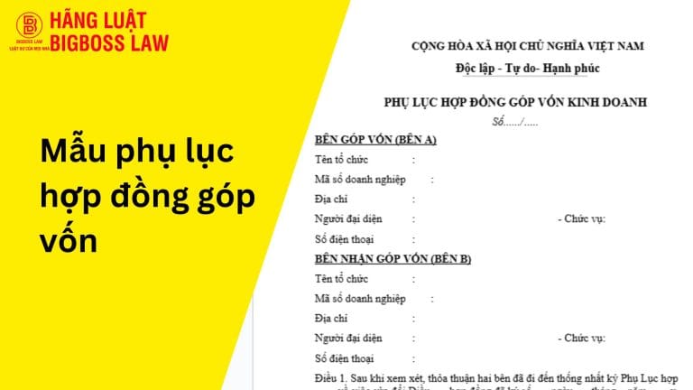 Mẫu phụ lục hợp đồng góp vốn