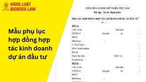 Mẫu phụ lục hợp đồng hợp tác kinh doanh dự án đầu tư