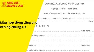 Hợp đồng tặng cho căn hộ chung cư