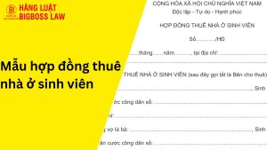 Hợp đồng thuê nhà ở sinh viên