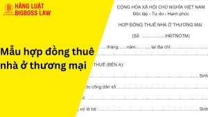 Hợp đồng thuê nhà ở thương mại
