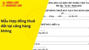 Mẫu hợp đồng thuê đất tại cảng hàng không