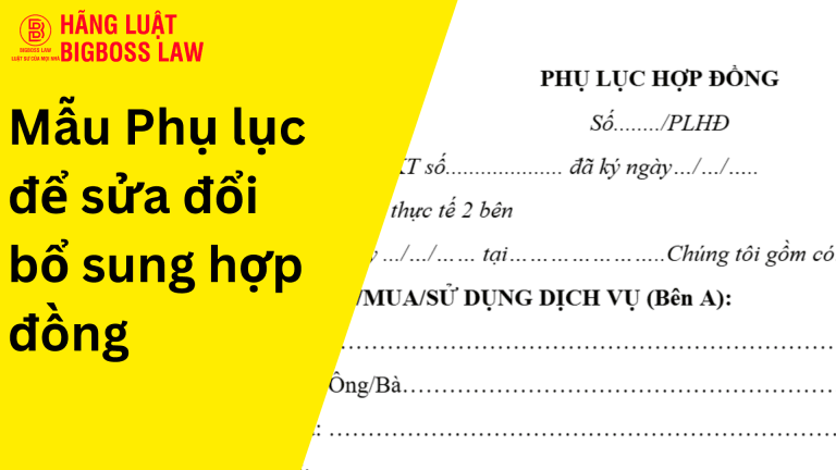 PHỤ LỤC ĐỂ SỬA ĐỔI BỔ SUNG HỢP ĐỒNG 7 Hop dong thu viec 1 5