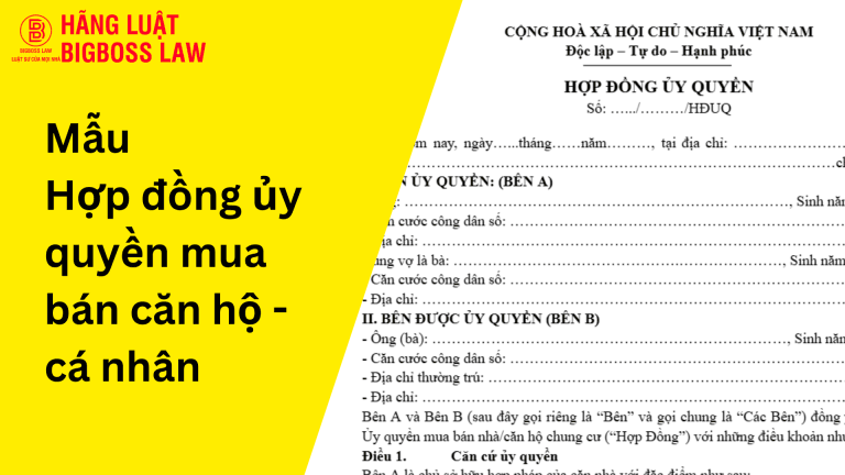 Hop dong thu viec 1