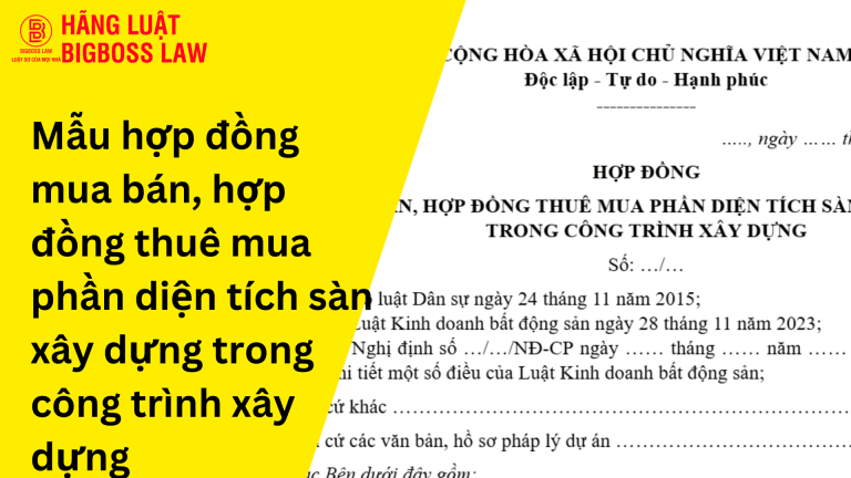 Hop dong thu viec 10