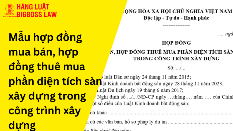 Hop dong thu viec 11