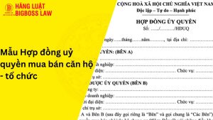HĐ ỦY QUYỀN MUA BÁN CĂN HỘ - TỔ CHỨC