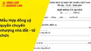 Mẫu hợp đồng uỷ quyền chuyển nhượng nhà đất - tổ chức