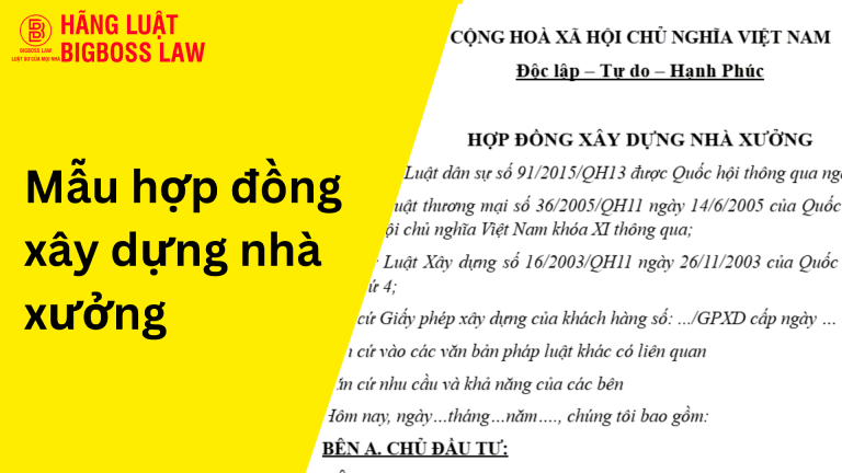 Hop dong thu viec 19 1