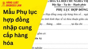Phụ lục hợp đồng nhập cung cấp hàng hóa
