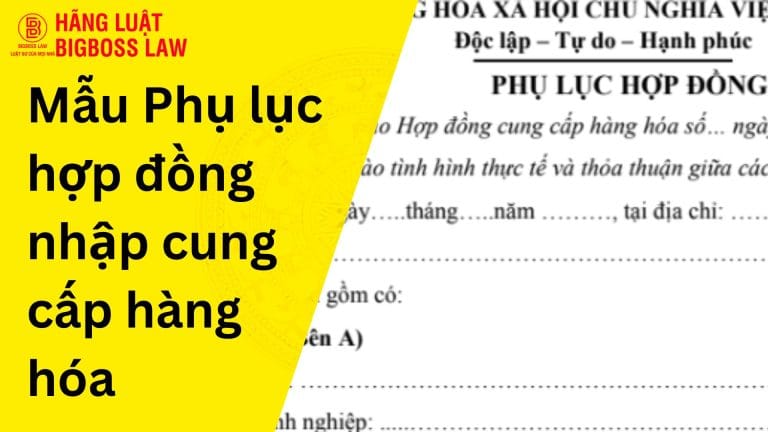 Phụ lục hợp đồng nhập cung cấp hàng hóa