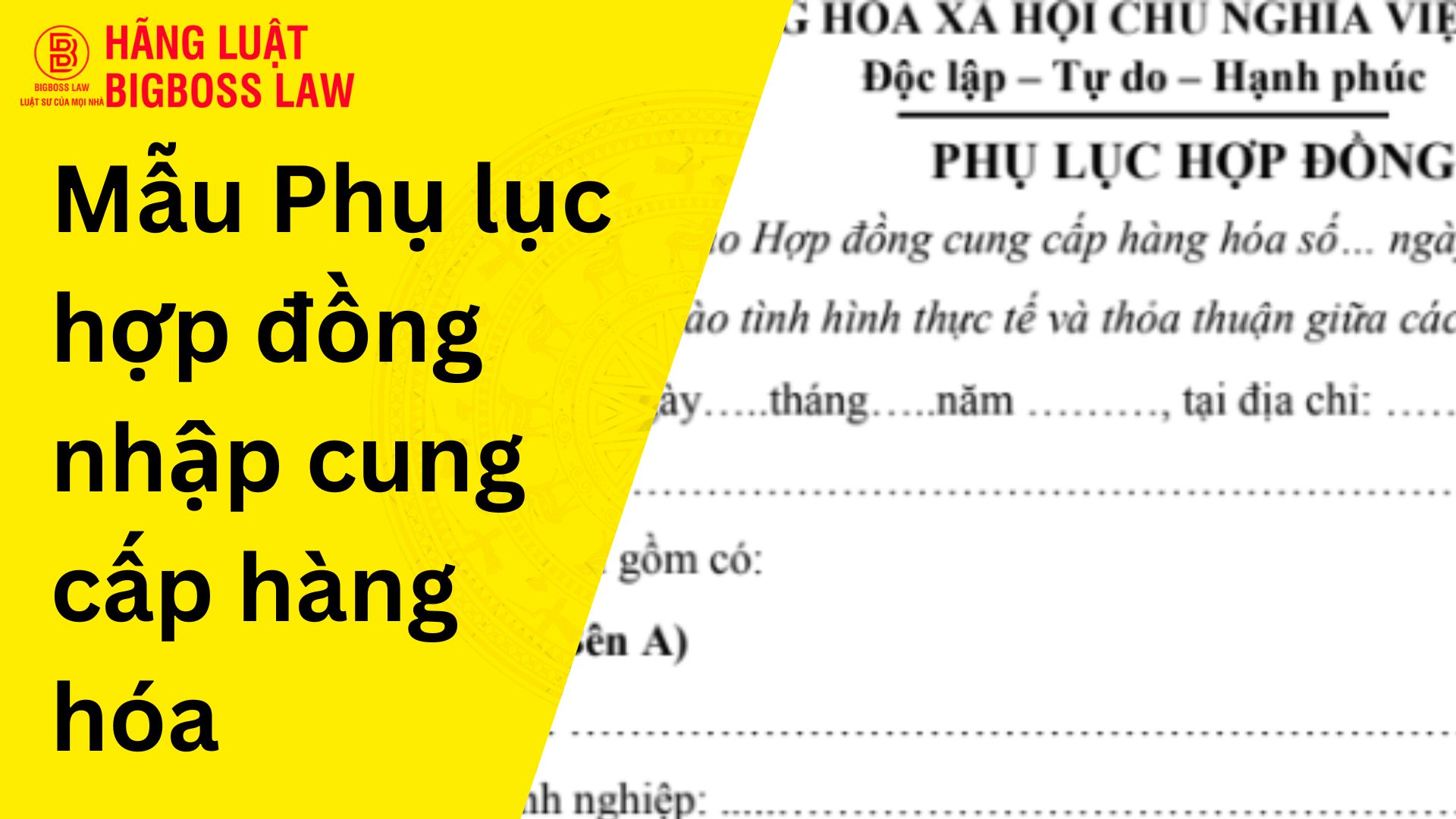 Phụ lục hợp đồng nhập cung cấp hàng hóa