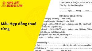 Mẫu hợp đồng thuê rừng