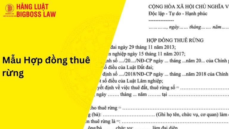 Mẫu hợp đồng thuê rừng