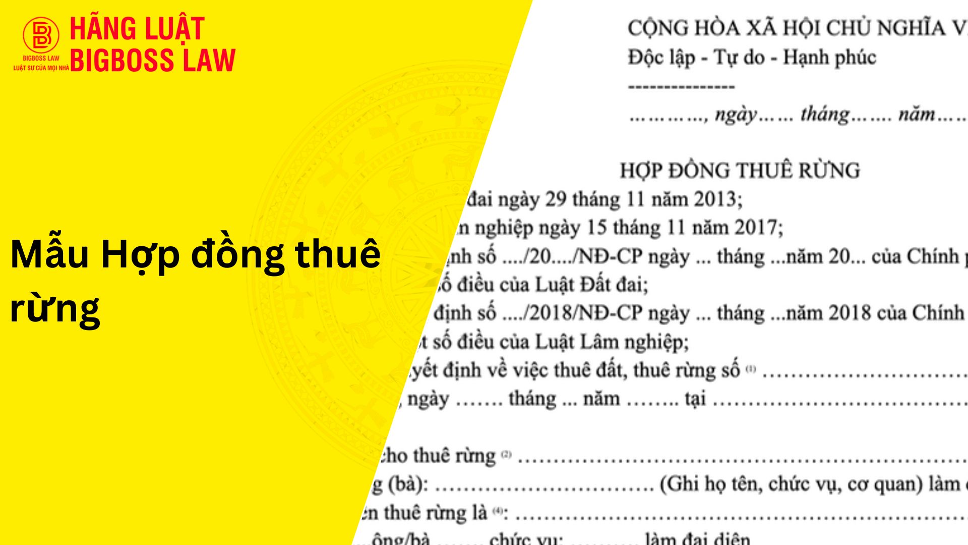 Mẫu hợp đồng thuê rừng