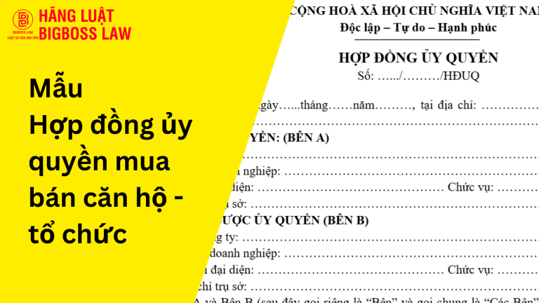 Hop dong thu viec 2
