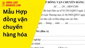 Hợp đồng vận chuyển hàng hóa
