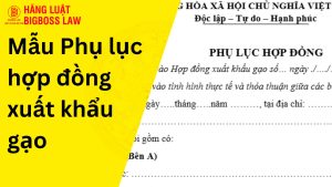 Phụ lục hợp đồng xuất khẩu gạo