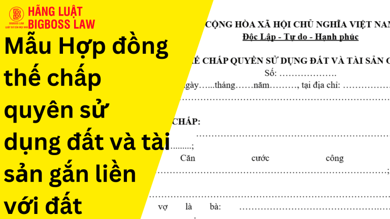 Hop dong thu viec 5 1