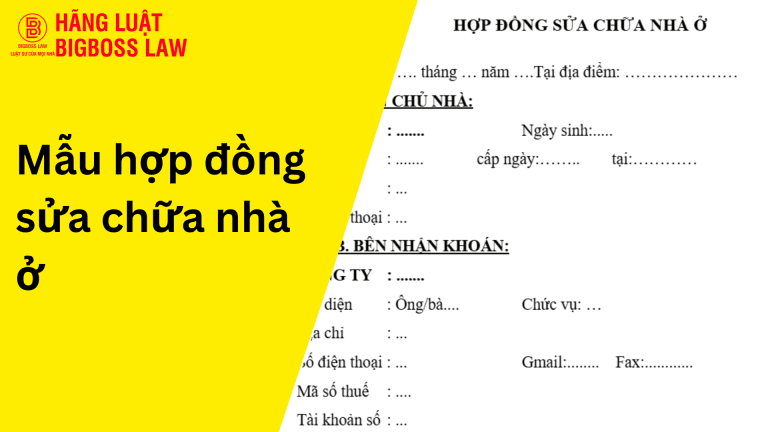 Hop dong thu viec 5 6