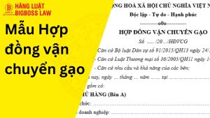 Hợp đồng vận chuyển gạo